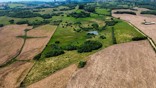 Fazenda em Encruzilhada do Sul com 44,4ha - Foto 5