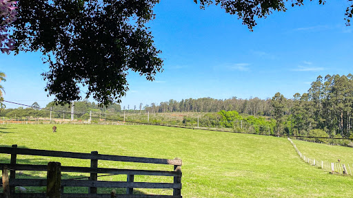 Chácara no Rincão Del Rei com 4 dormitórios - Foto 8