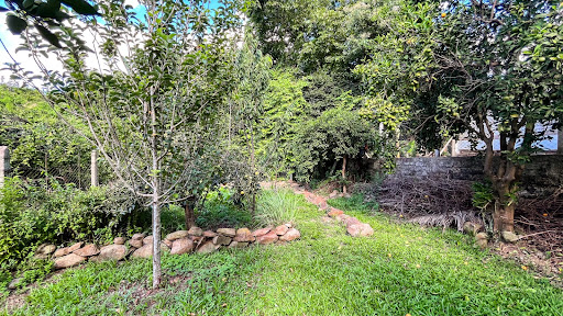 Casa no Goiás com 3 dormitórios e Amplo Pátio - Foto 5