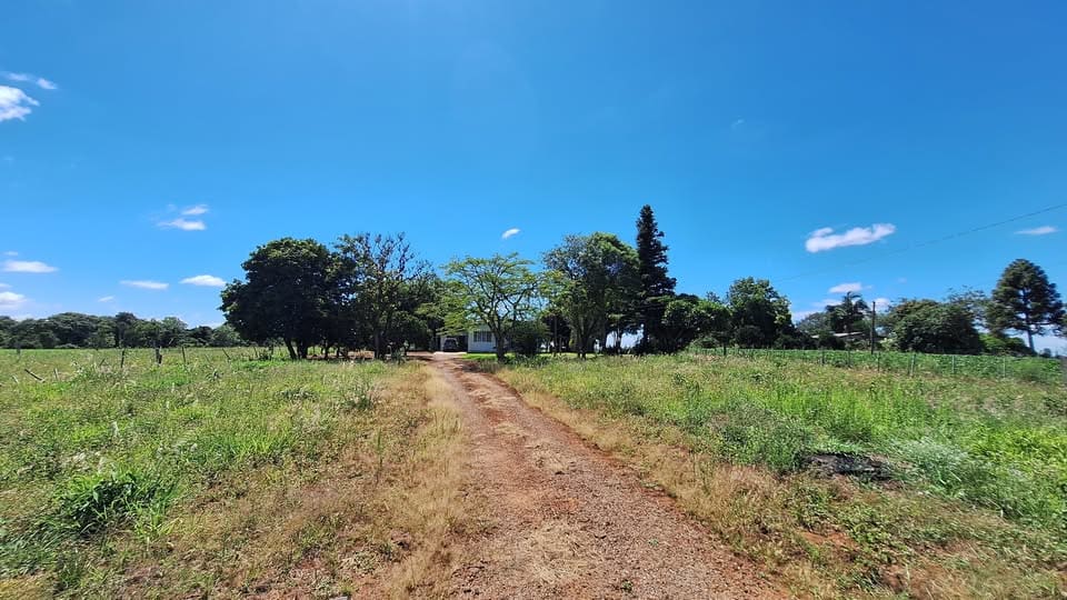 3,3 hectares - Rincão del Rey - Foto 10
