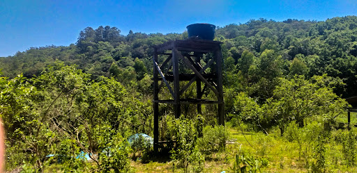 Bela Chácara em Monte Alverne com 12,6ha - Foto 18