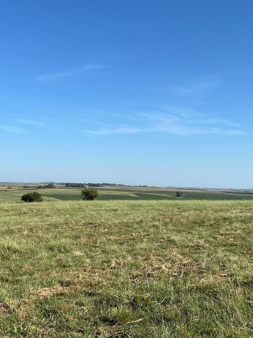 120 hectares - Alegrete - Foto 6