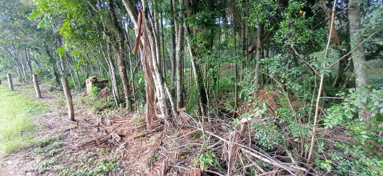 2 hectares - Linha Pinheiral  - Foto 4