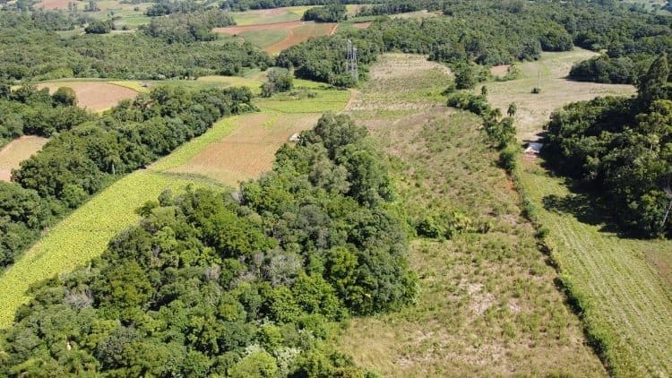 5 hectares - Linha João Alves - Foto 4