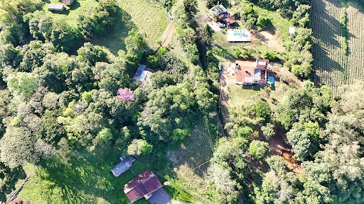 Chácara em Candelária com 21 Hectares - Foto 3