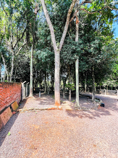 Casa em Linha Santa Cruz com 3 dormitórios e Piscina - Foto 14