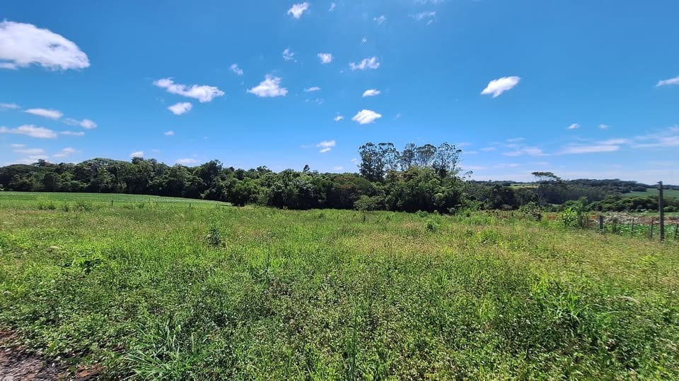 3,3 hectares - Rincão del Rey - Foto 8