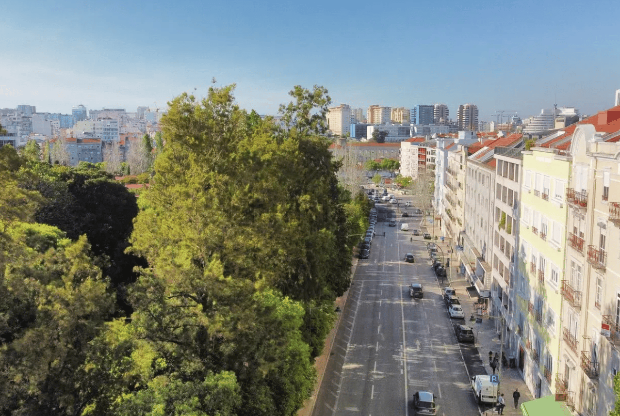 APARTAMENTO - 34953385 — foto 4