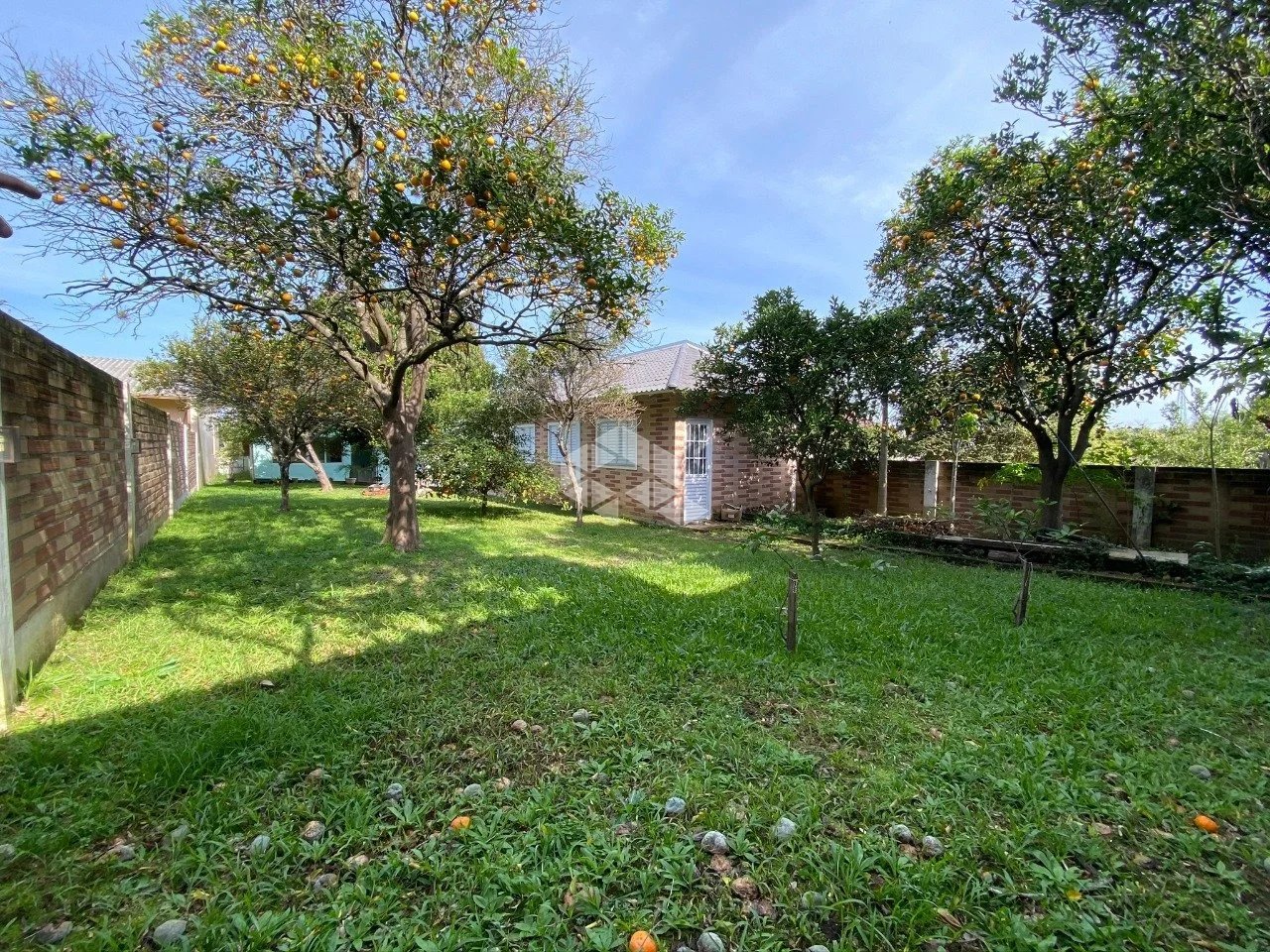 Casa com 3 quartos - Foto 5