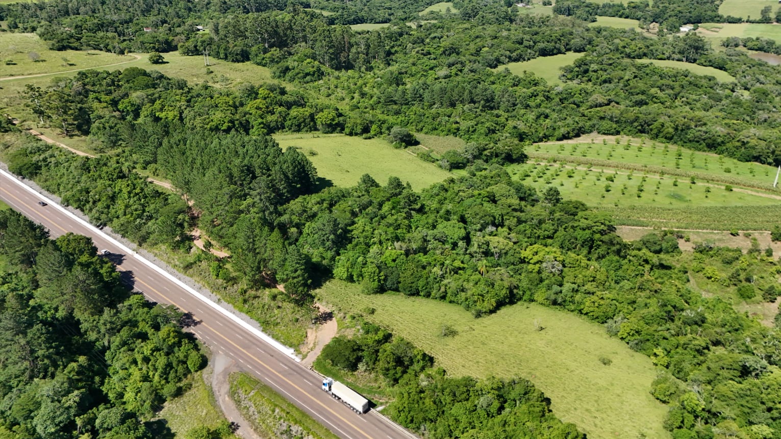 Área no Rincão del Rei - 50 hectares - Foto 10