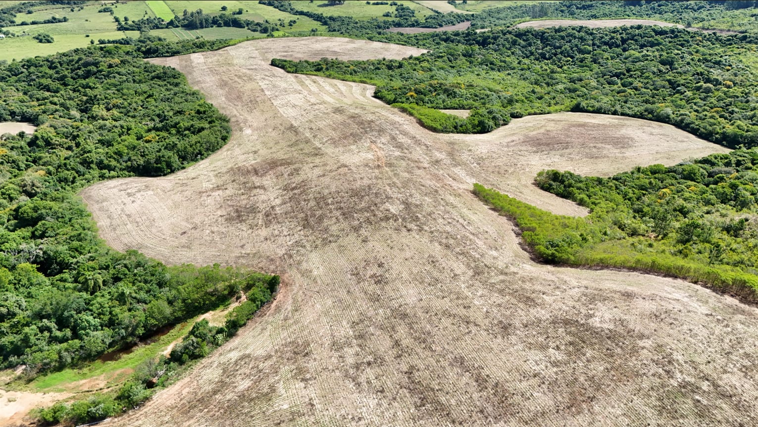 517 hectares - Butiá - Foto 7