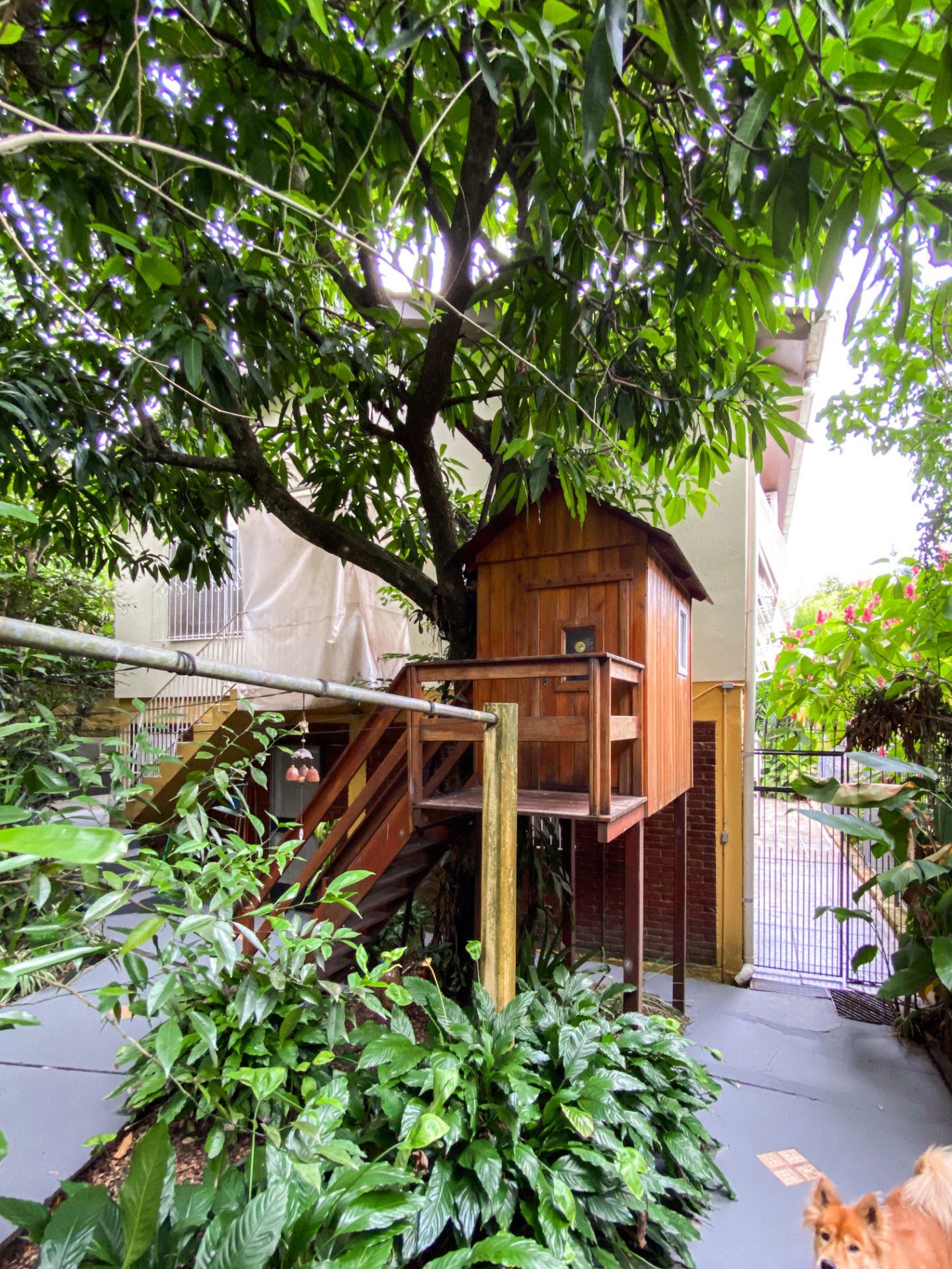 Casa na Independência com 3 dormitórios e piscina - Foto 31