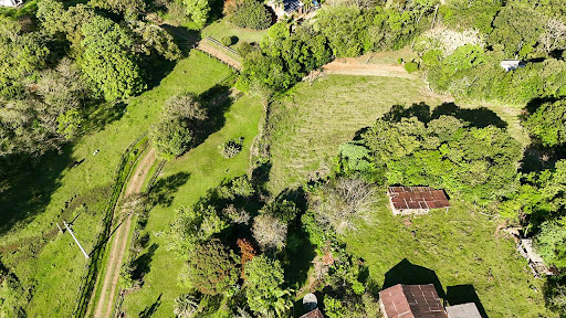 Chácara em Candelária com 21 Hectares - Foto 5