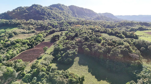 Chácara em Candelária com 21 Hectares - Foto 11