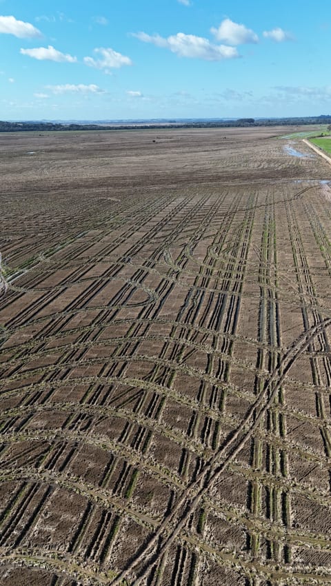 Cachoeira do Sul - 530 hectares - Foto 10