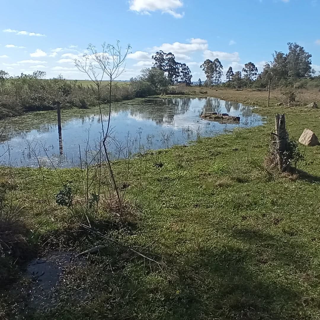 2 hectares - Capão da Cruz
