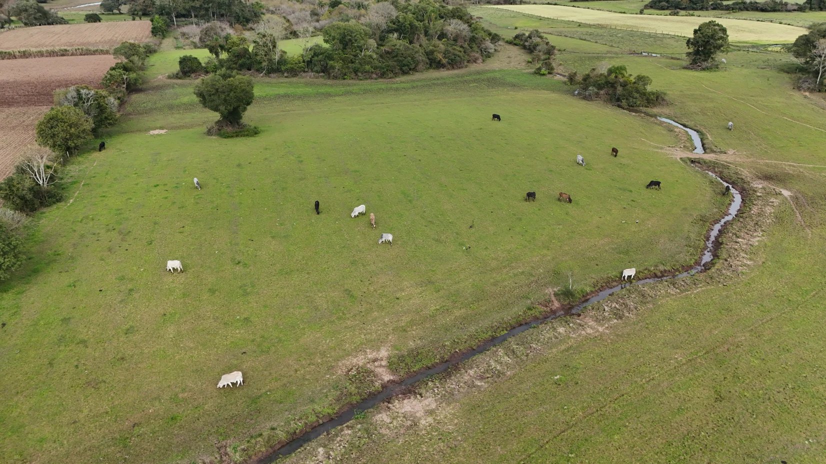 37 hectares - Vera Cruz - Foto 5