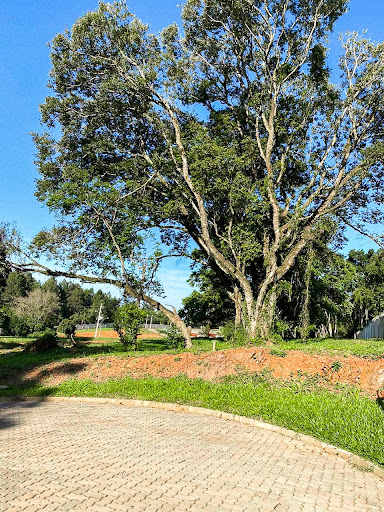 Empreendimento em Country - Santa Cruz do Sul, RS - Foto 8