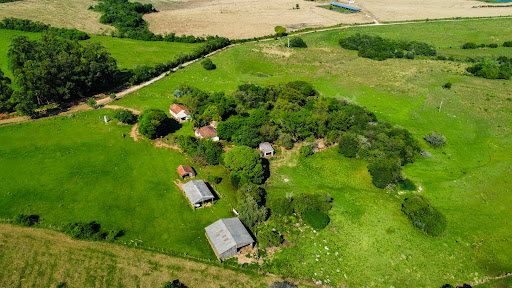 Fazenda em Encruzilhada do Sul com 44,4ha - Foto 8