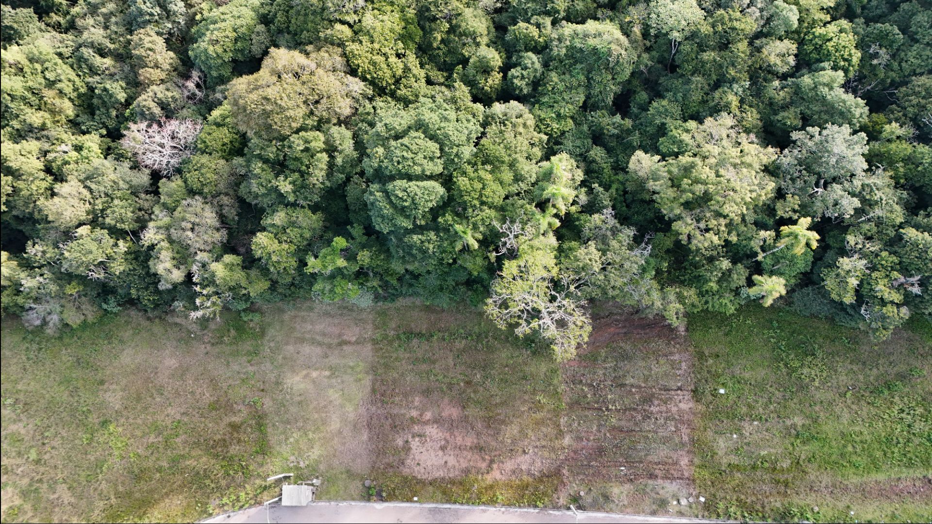 Terreno no Aliança com 301 m² - Foto 3