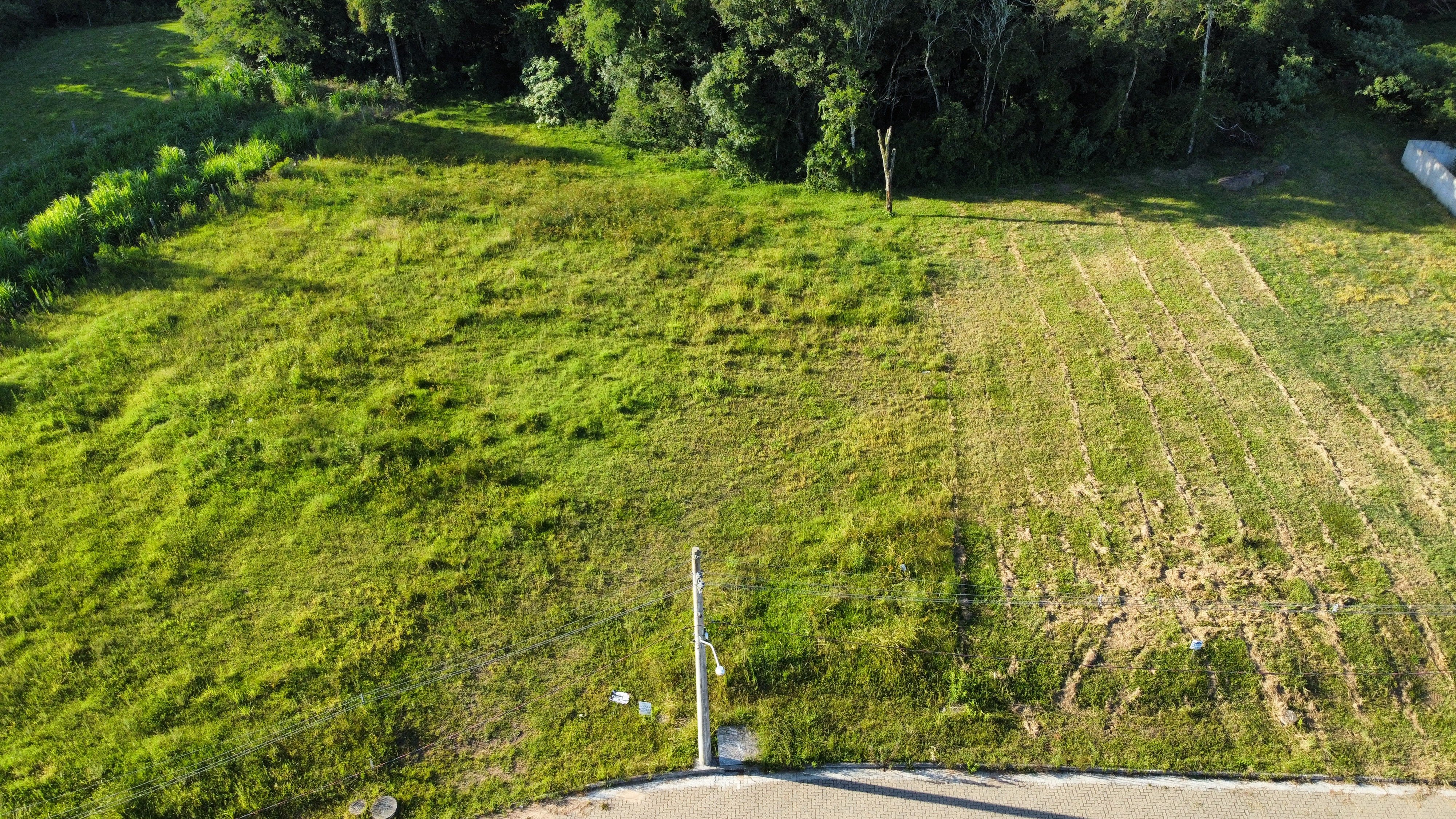 Terreno no Aliança com 477,63m² - Foto 3