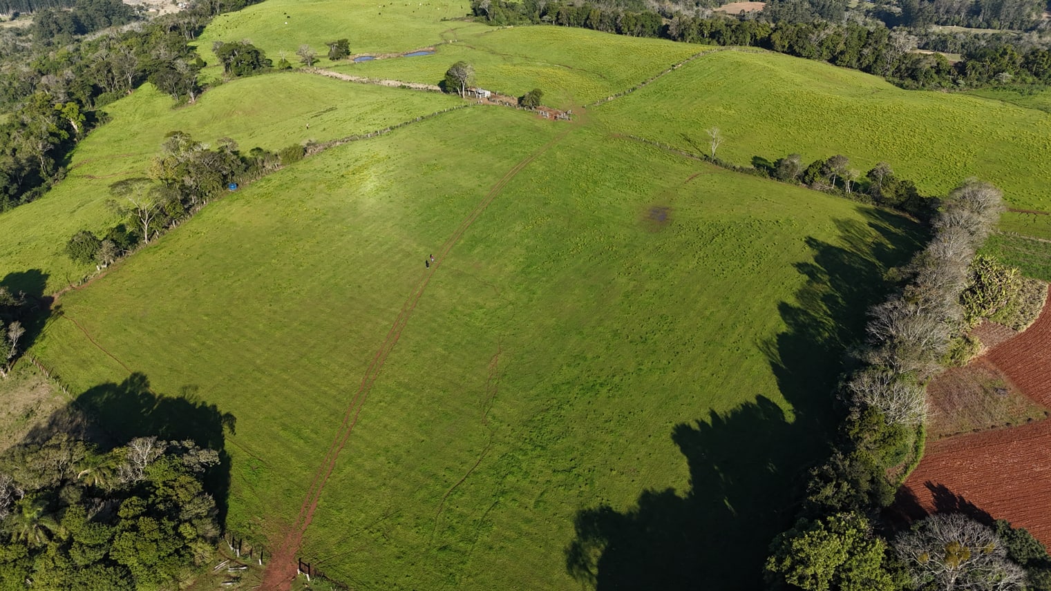 60 hectares - Santa Cruz do Sul - Foto 13