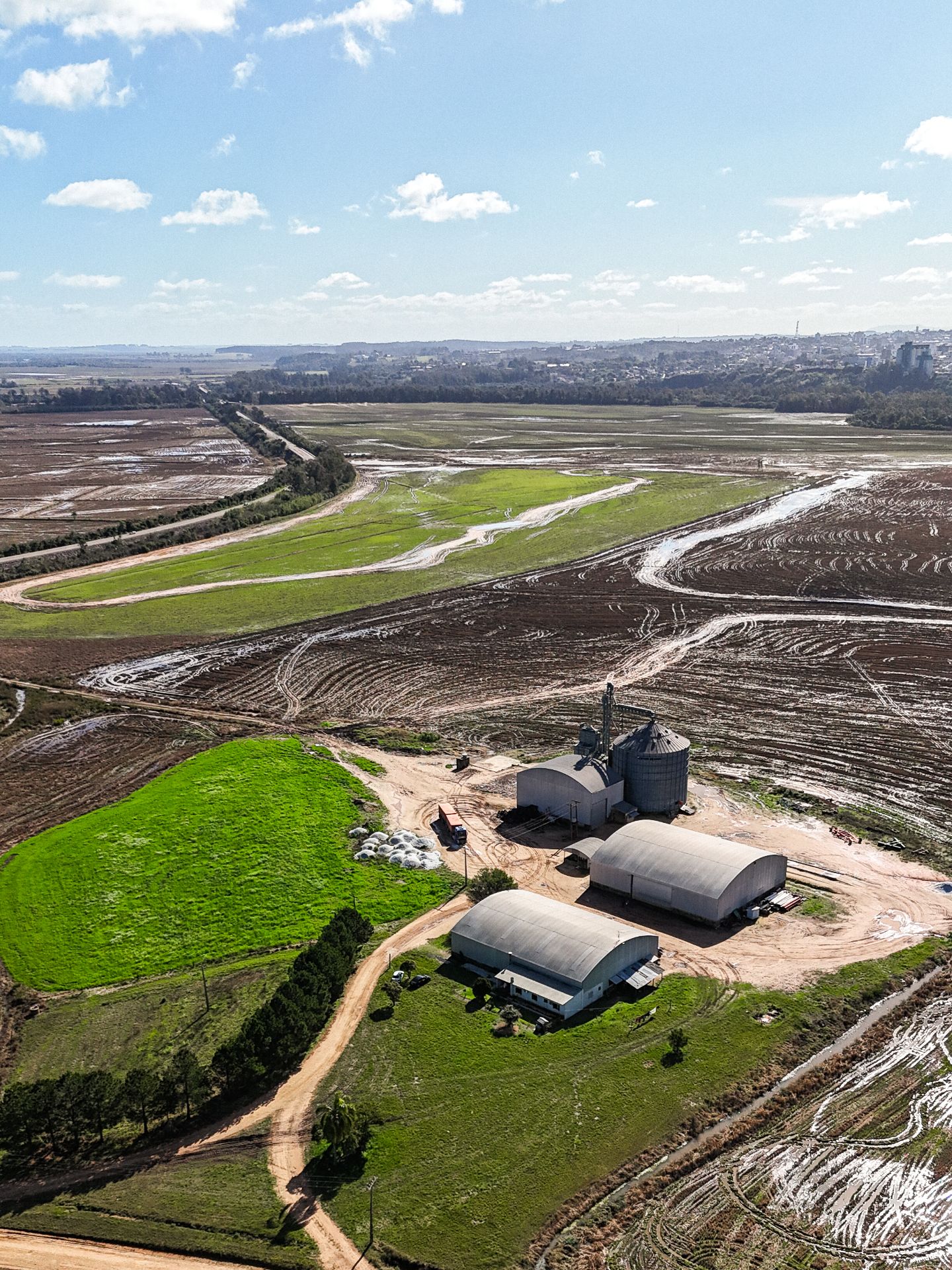 Fazenda em Cachoeira do Sul com 530 Hectares - Foto 4