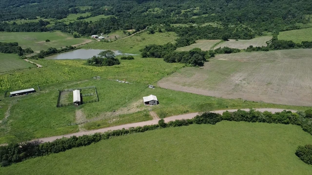 58 hectares - Passo do Sobrado - Foto 6