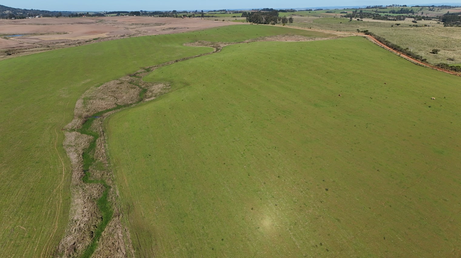 203 hectares - Vale Verde - Foto 12