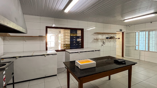Casa Comercial no Ana Nery - Foto 17