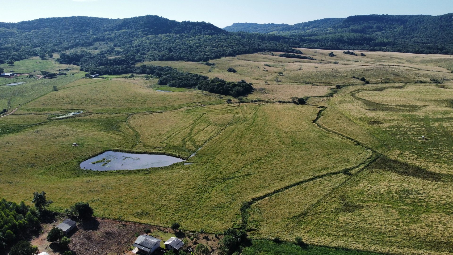 234 hectares - Vale Verde  - Beira de Asfalto - Foto 4