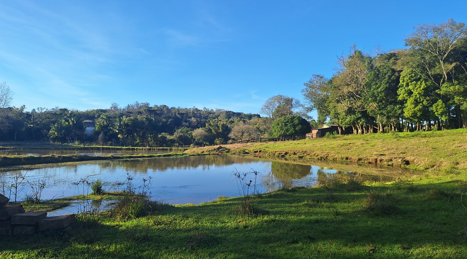 60 hectares - Santa Cruz do Sul - Foto 8