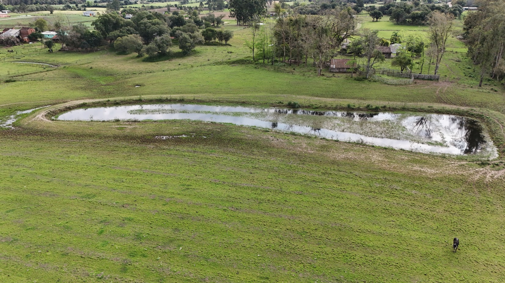 37 hectares - Vera Cruz - Foto 6