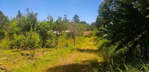 Bela Chácara em Monte Alverne com 12,6ha - Foto 21