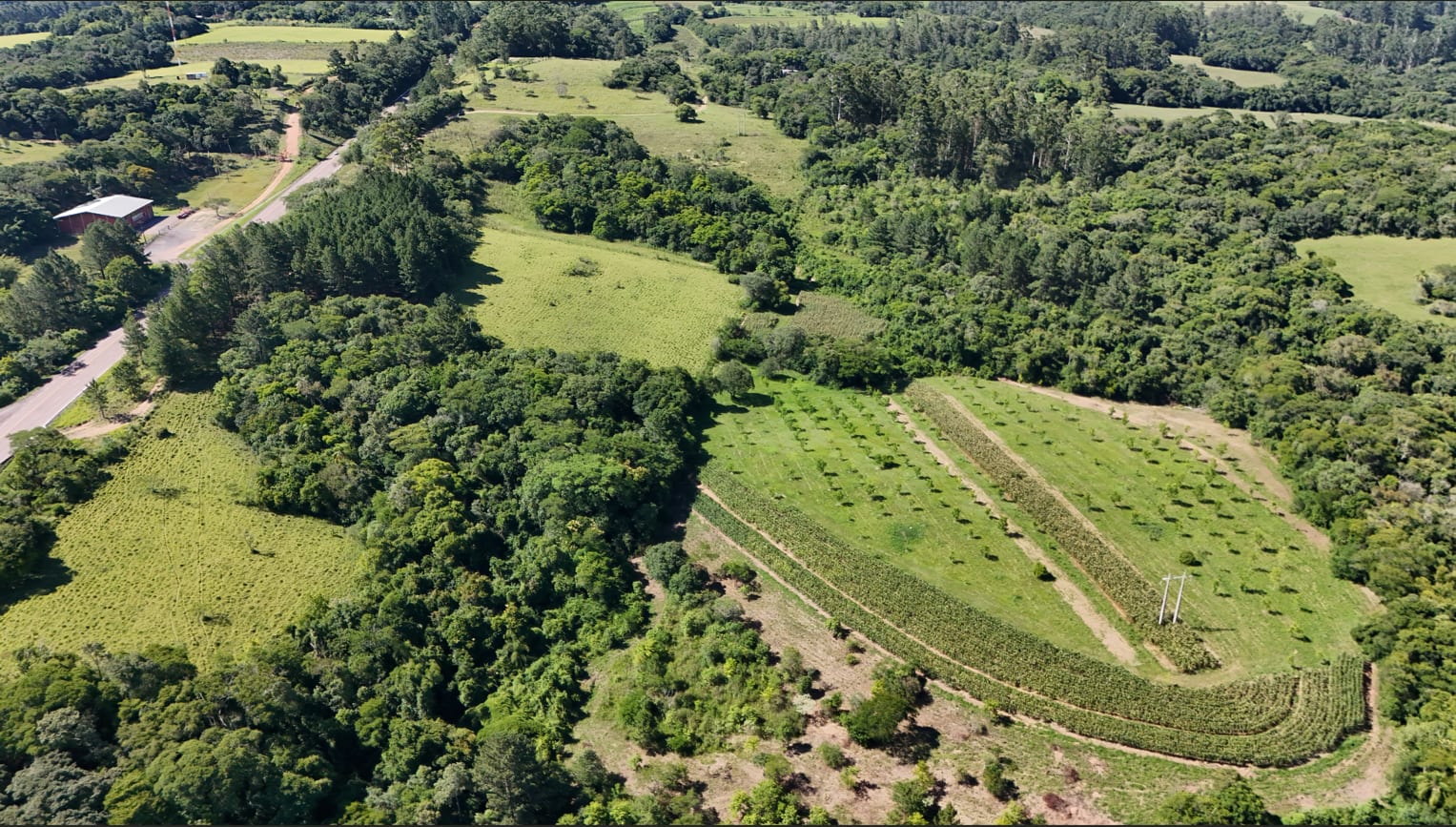Área no Rincão del Rei - 50 hectares - Foto 12