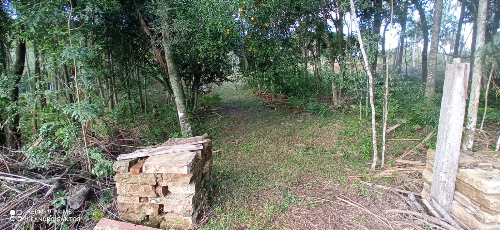 2 hectares - Linha Pinheiral  - Foto 7