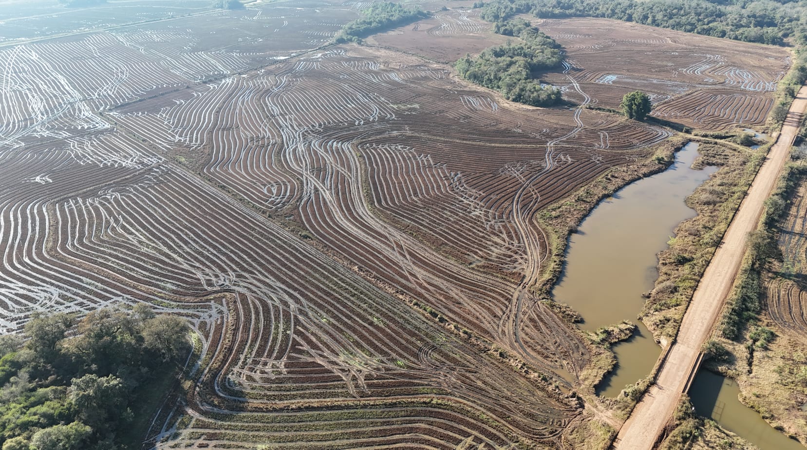 90 hectares - Passo do Sobrado  - Foto 6