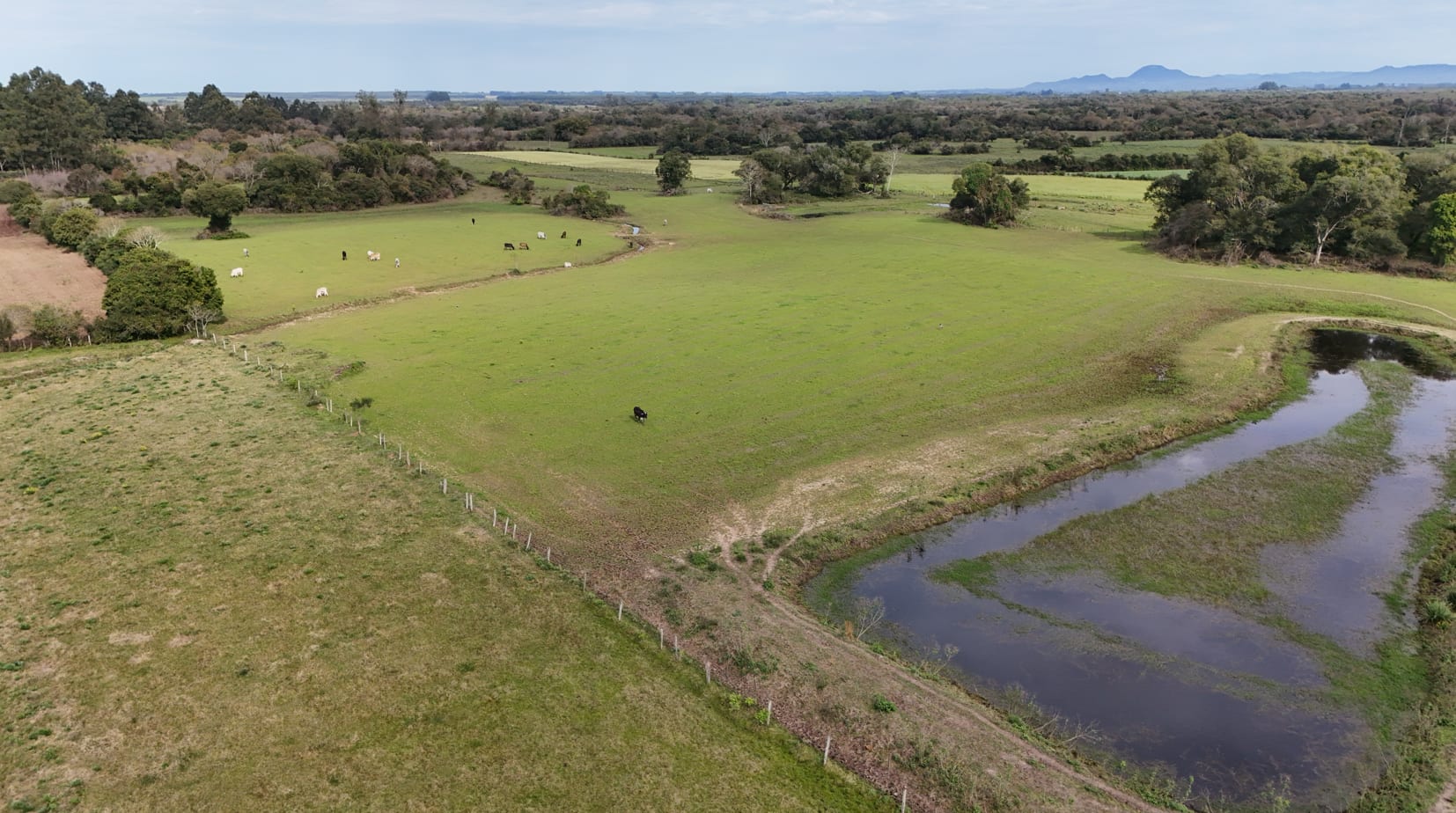 37 hectares - Vera Cruz - Foto 7