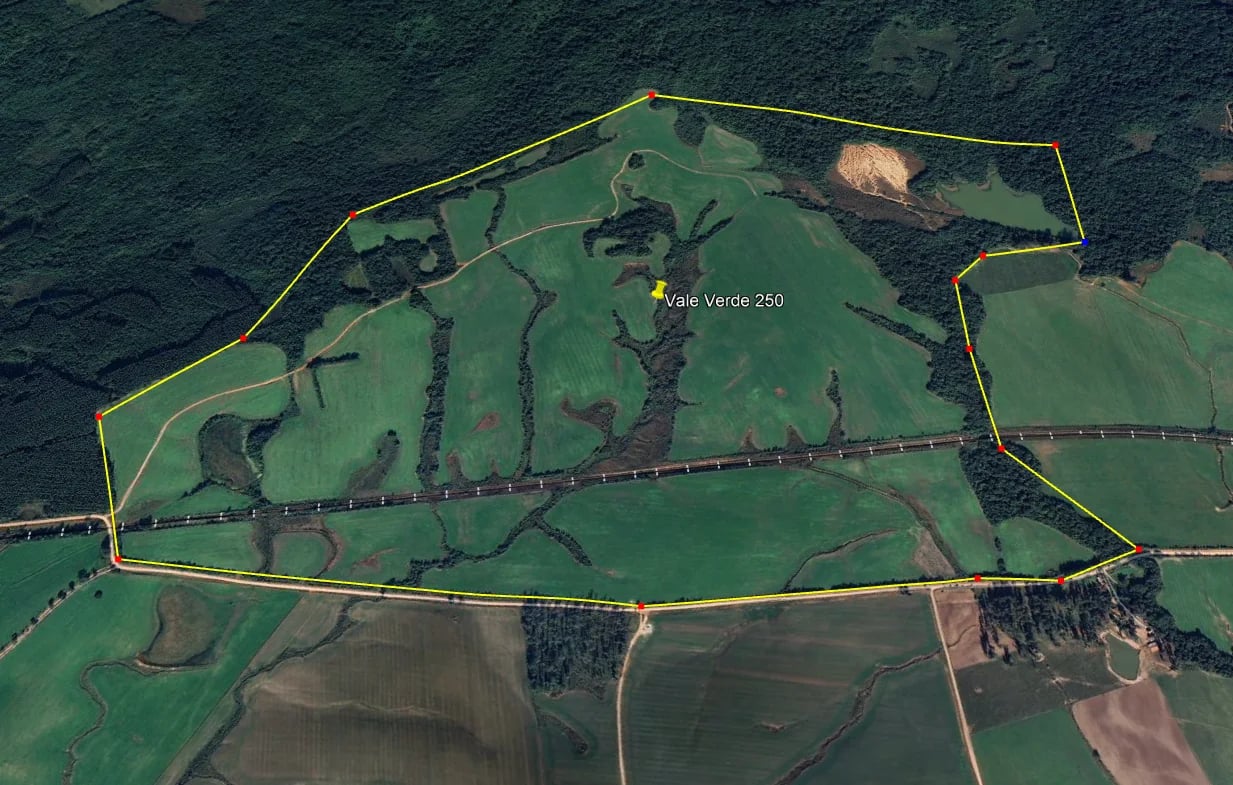 250 hectares - Vale Verde - Foto 6