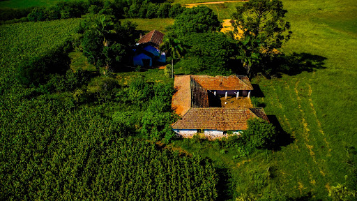 Fazenda em Rio Pardo 83ha - Foto 6