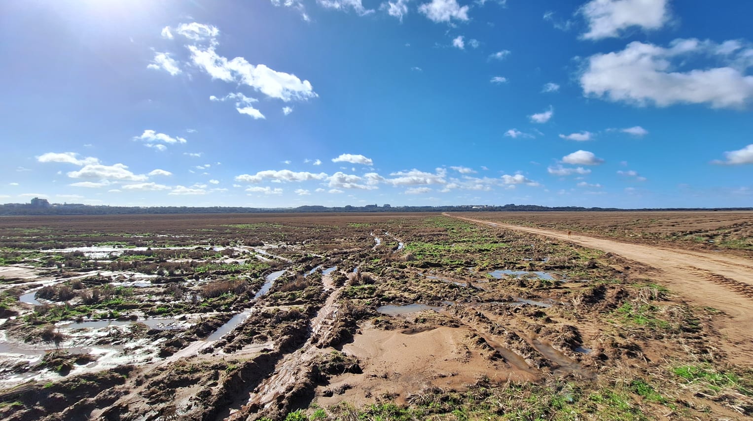 Cachoeira do Sul - 530 hectares - Foto 3
