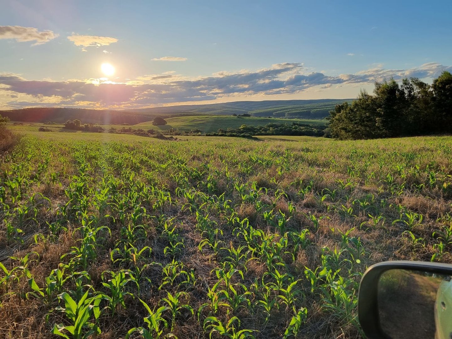 517 hectares - Butiá - Foto 17