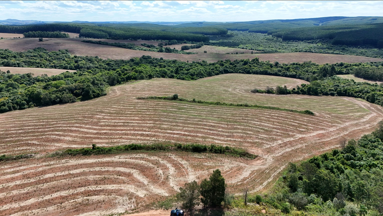 517 hectares - Butiá - Foto 5