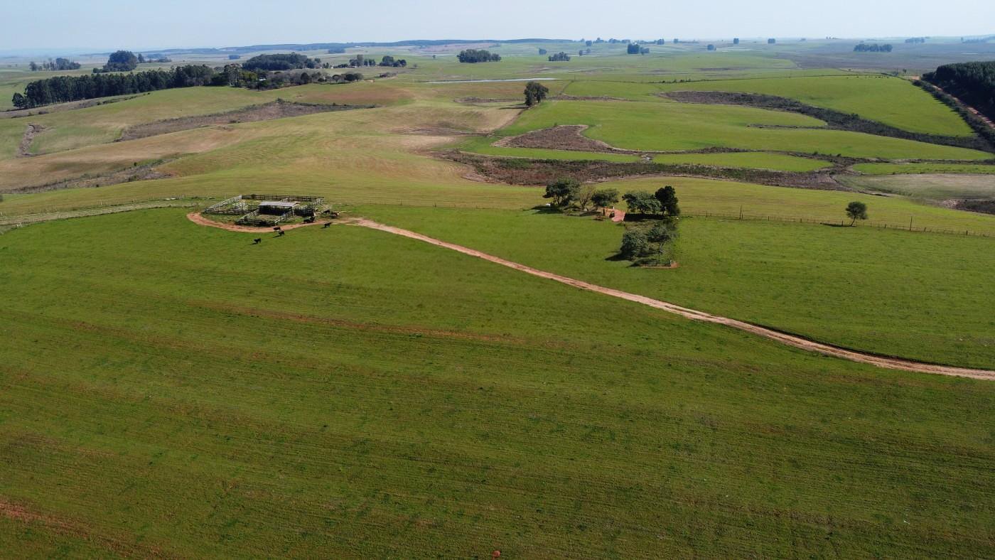 Fazenda 119ha - Foto 7