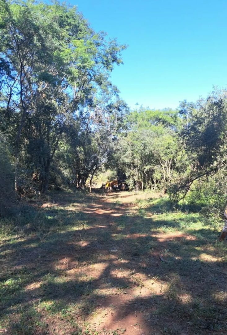 120 hectares - Alegrete - Foto 15