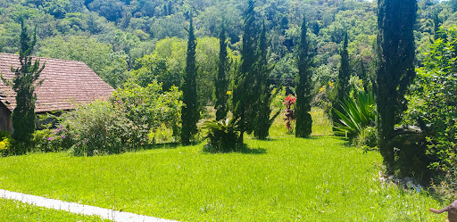 Bela Chácara em Monte Alverne com 12,6ha - Foto 9