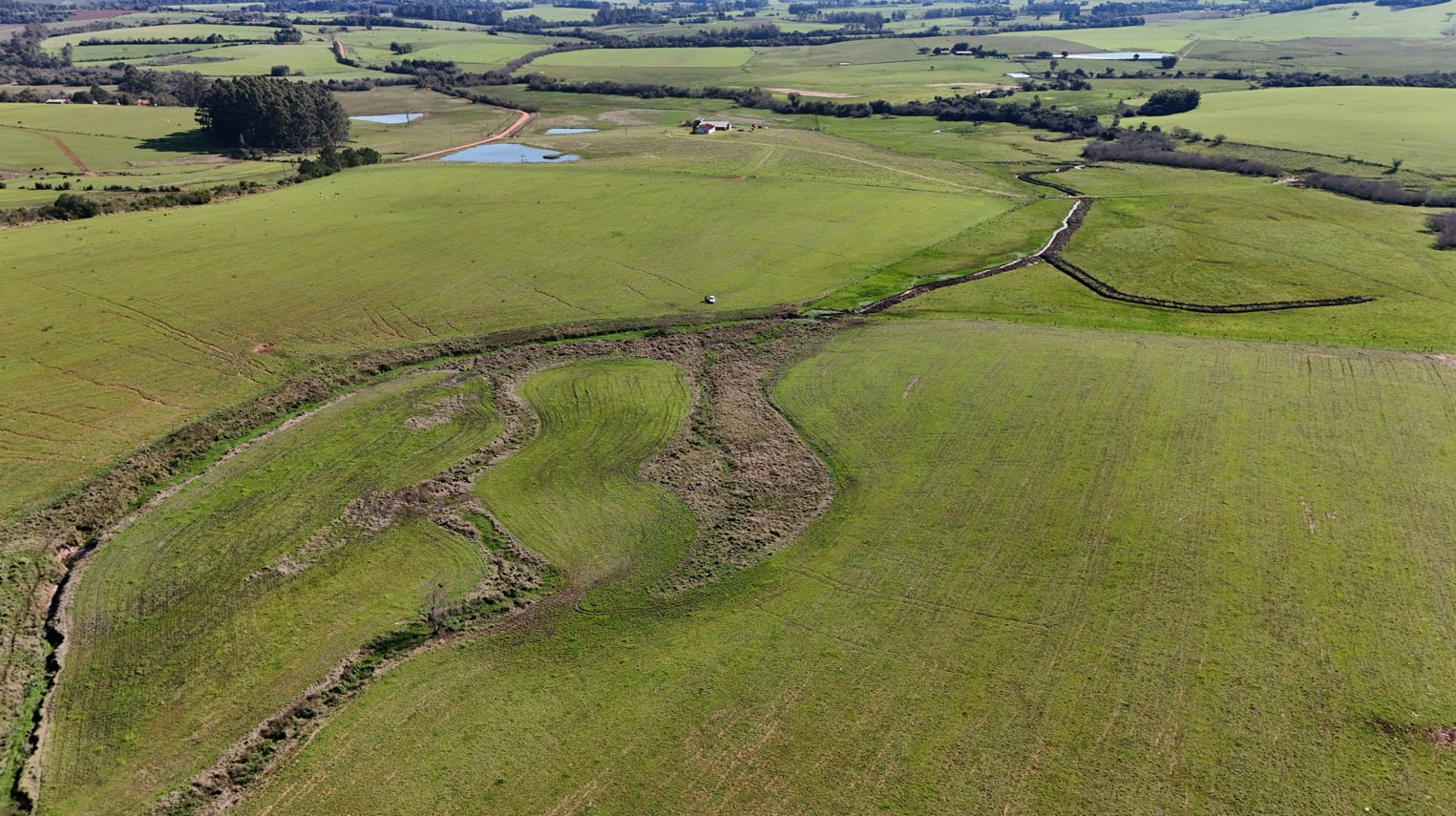 203 hectares - Vale Verde - Foto 4