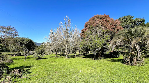 Chácara em Candelária com 21 Hectares - Foto 31