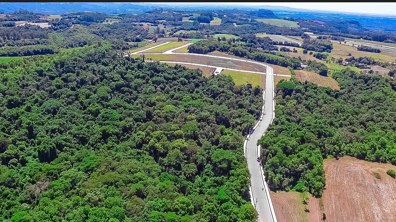 Parque das Palmeiras - Foto 10