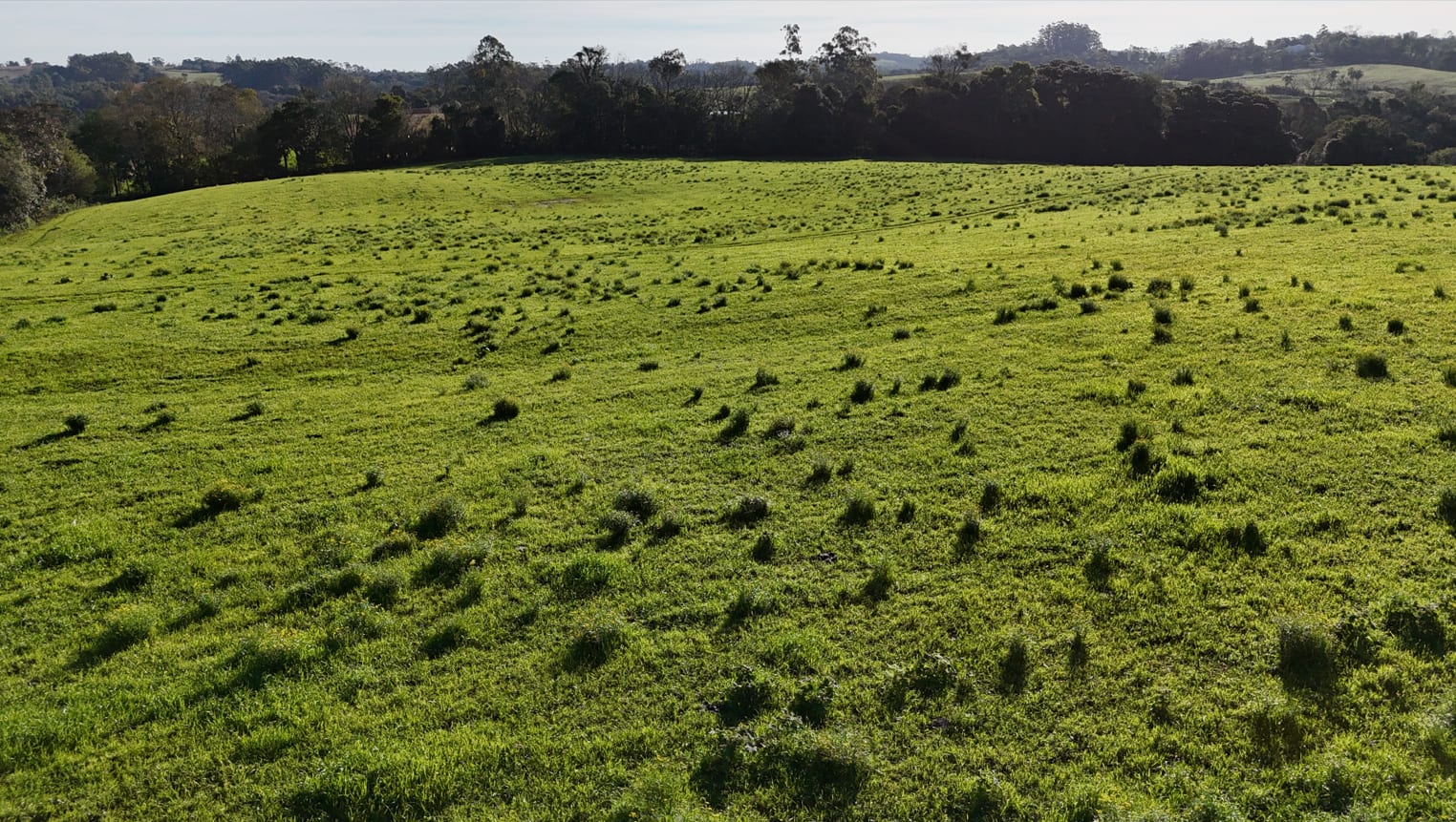 60 hectares - Santa Cruz do Sul - Foto 22